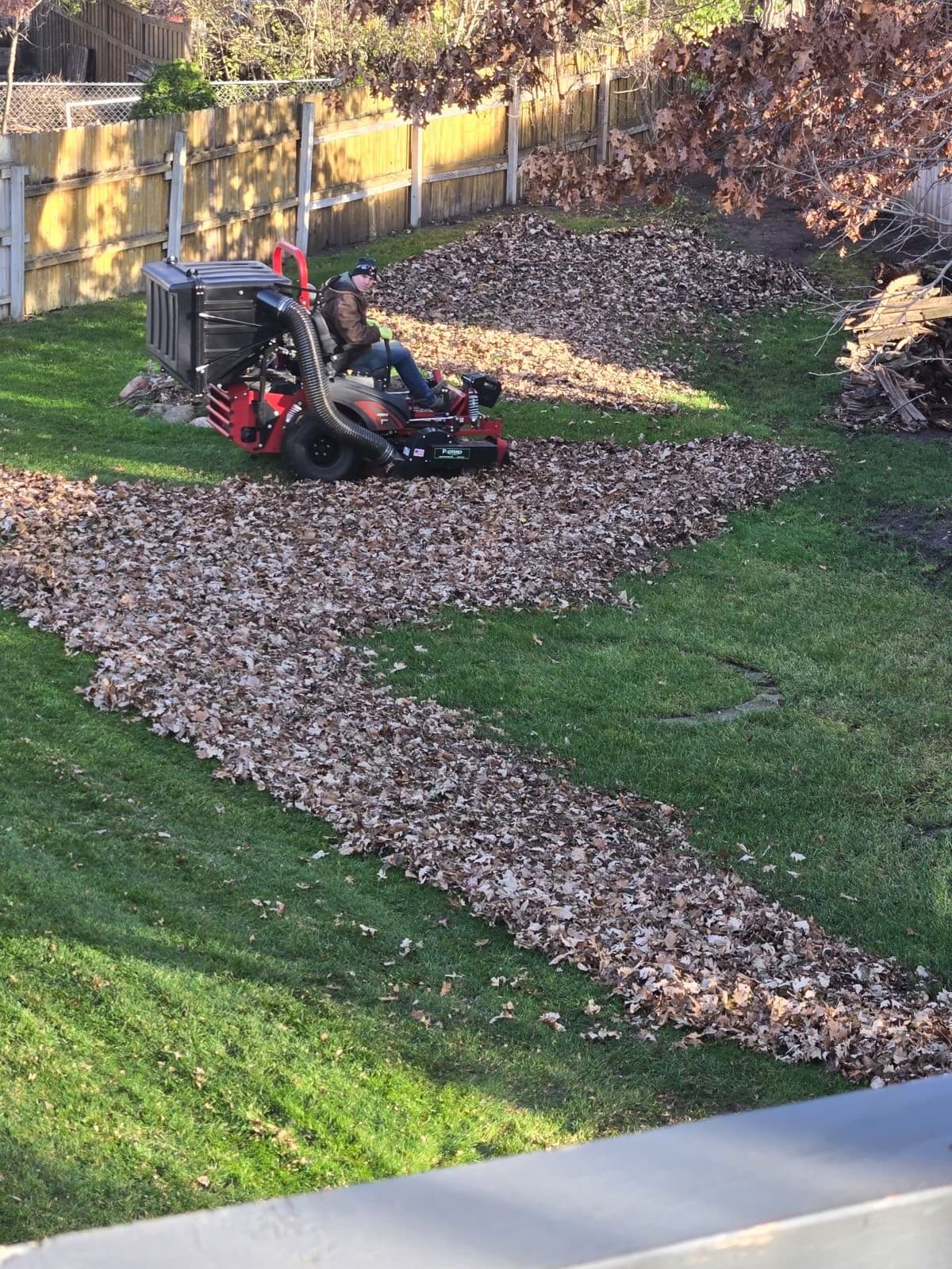 Spring & Fall Cleanup