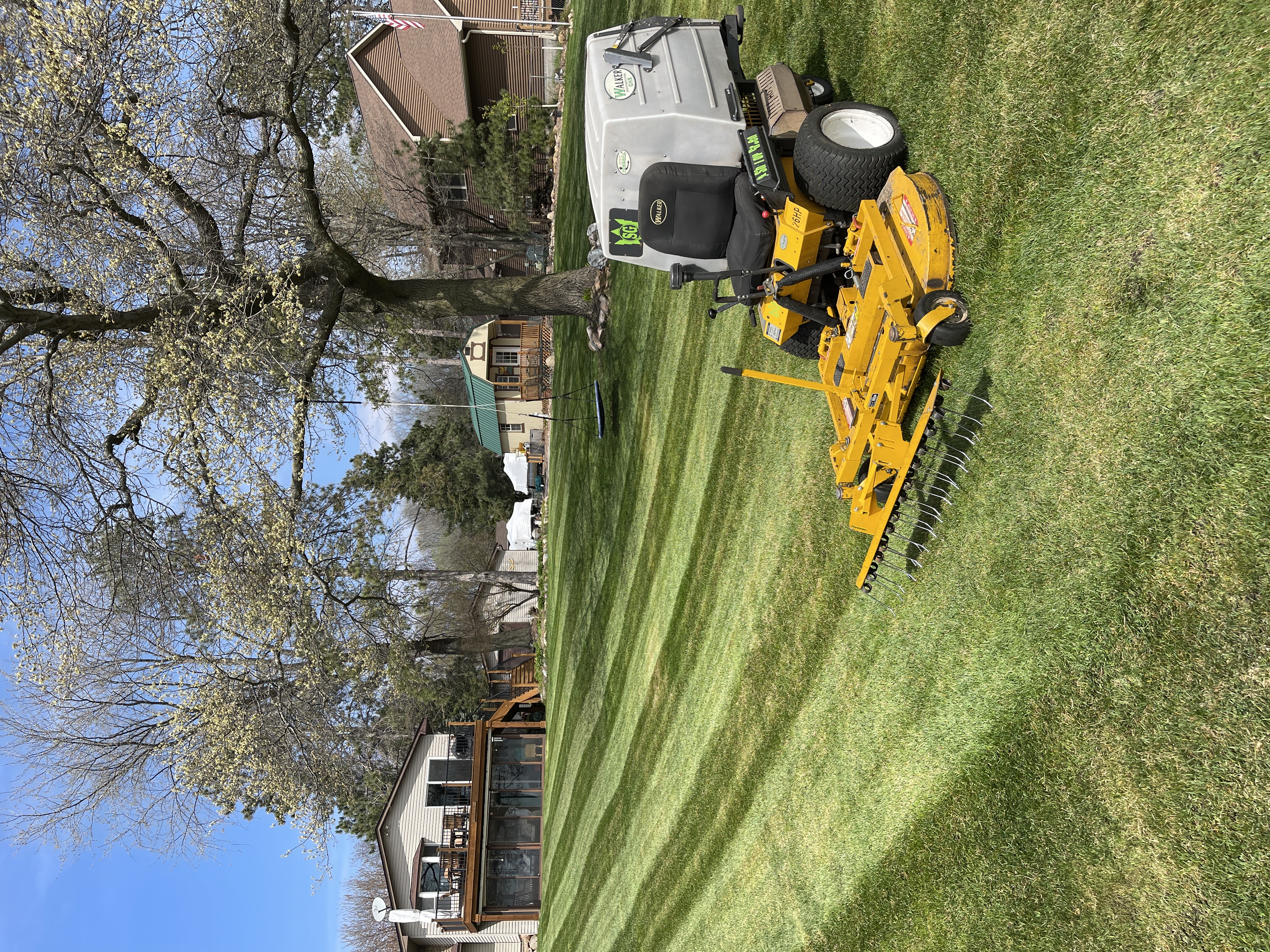 Aerating & Dethatching